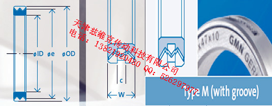 GMNM60X80X10油封圖紙